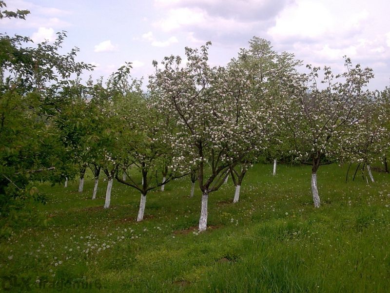 къща село Звезда