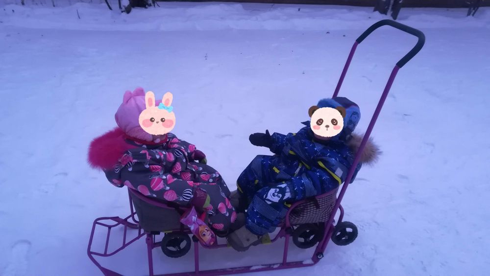 Санки для двойни