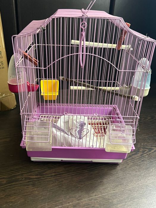 Cuști pentru păsări