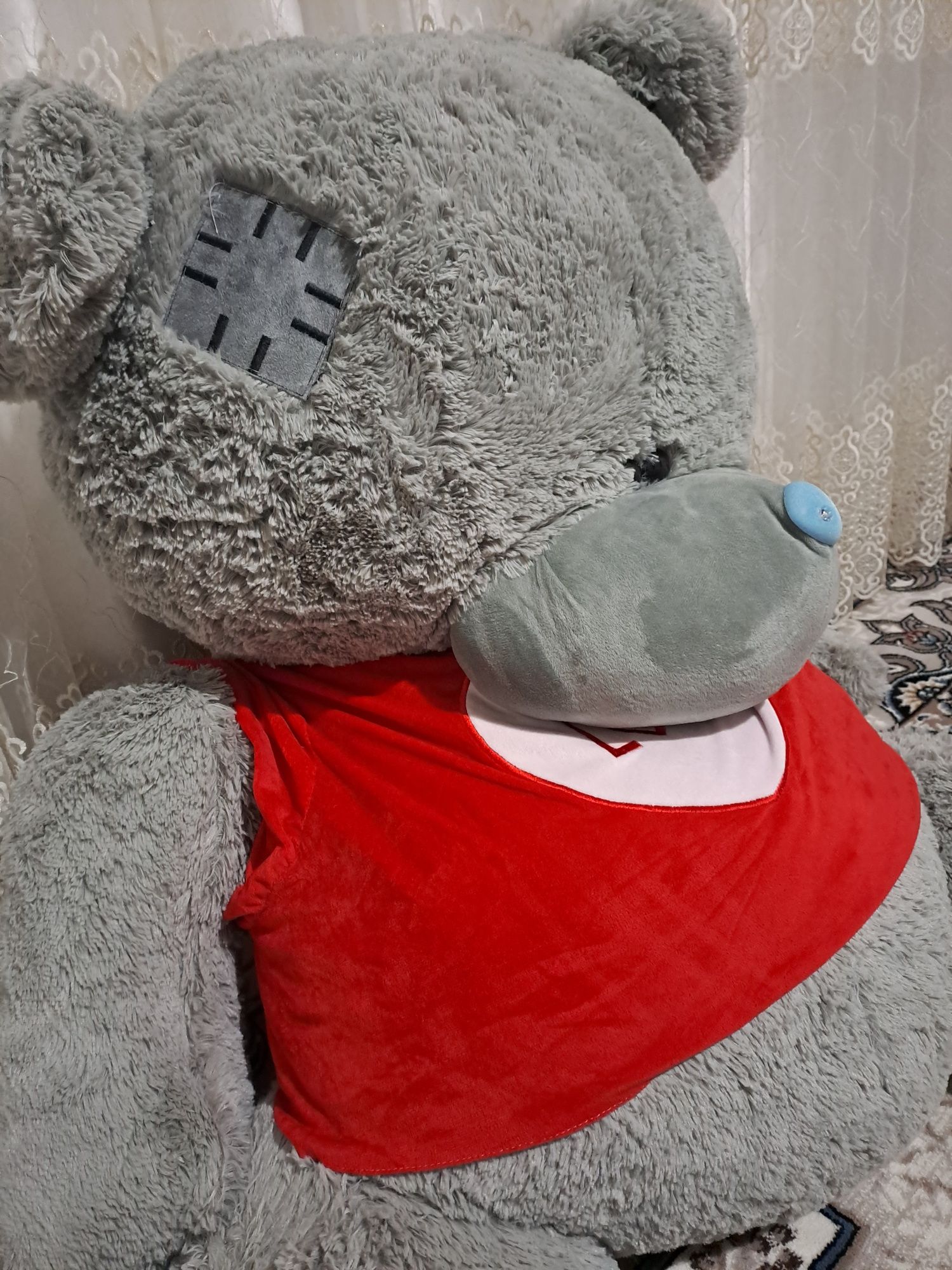 Miyaxkiy ayiq teddy