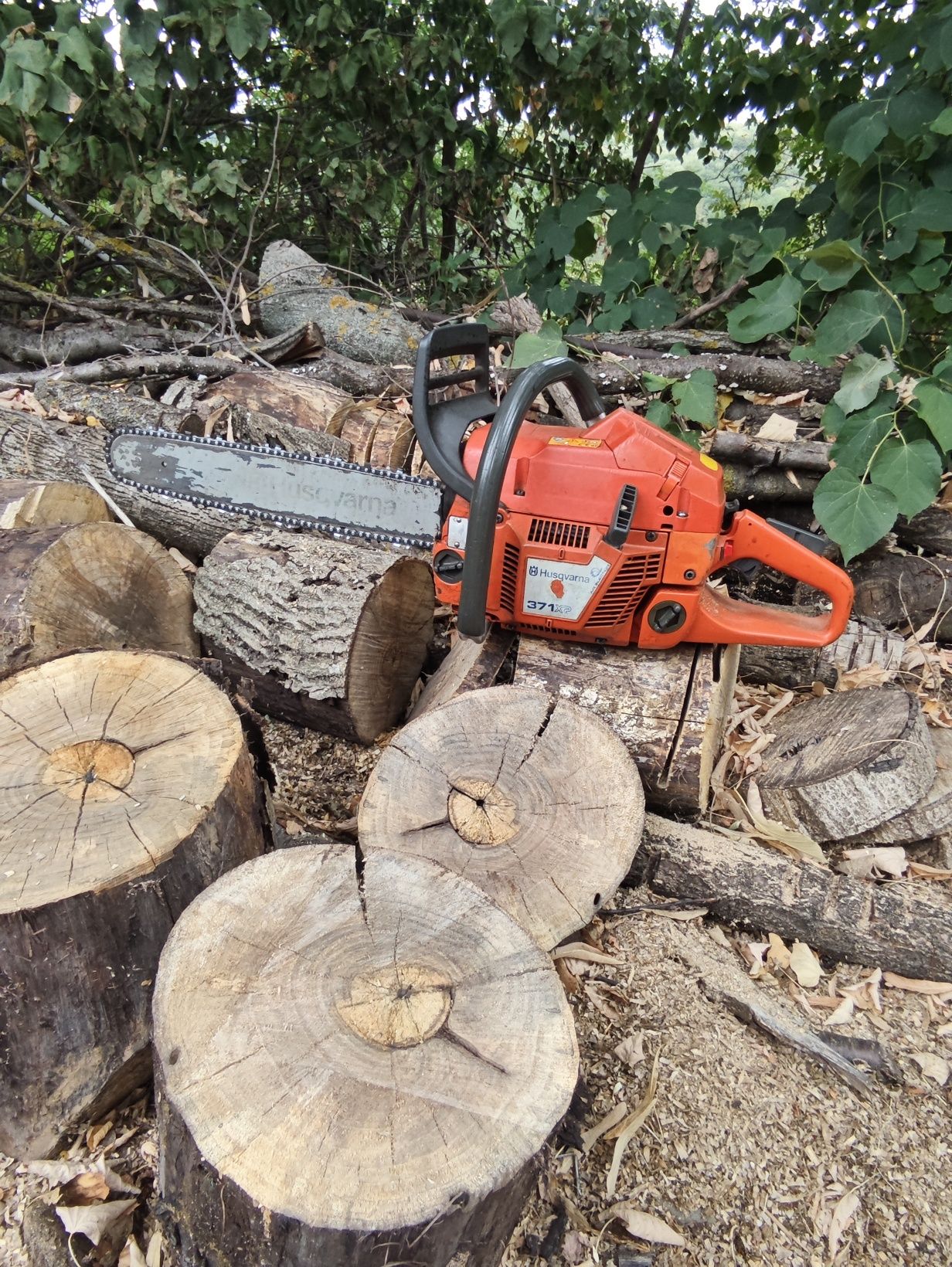 Husguvarna 371  professional