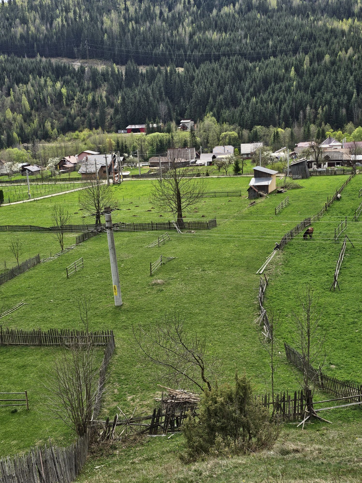 Teren de vanzare in Bucovina zona Fundu Moldovei