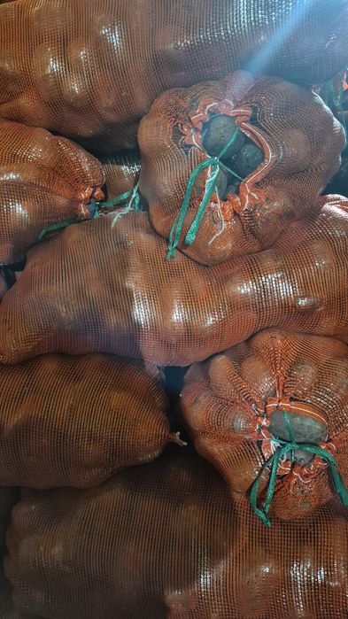 Картофель в сетках