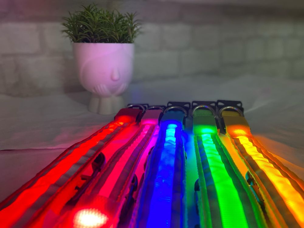 Светещи нашийници за кучета с USB зареждане