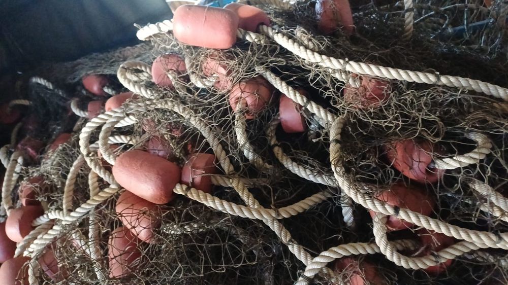 Plase pescuit  comercial