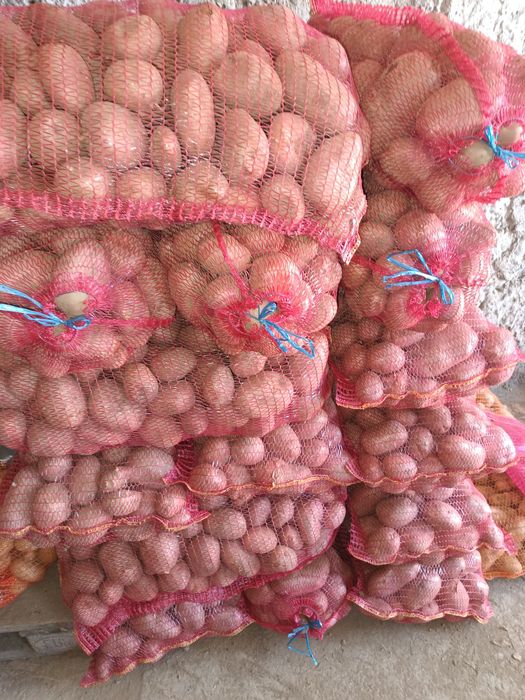 Cartofi albi și rosii