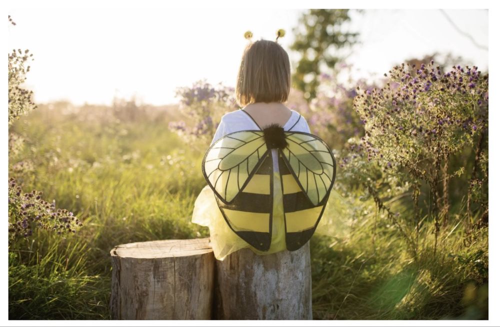 Карнавелен костюм пчеличка-4-6г.