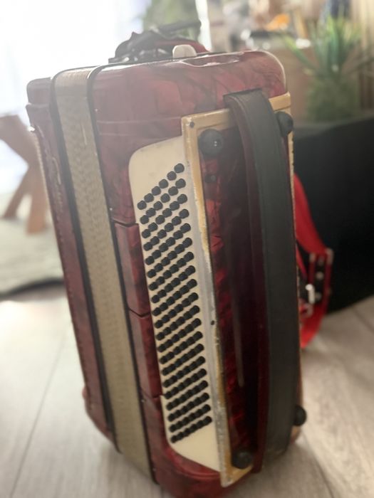 Vand acordeon 120 basi