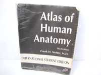 Atlas de anatomie umana / Atlas of Human Anatomy (Frank H. Netter)