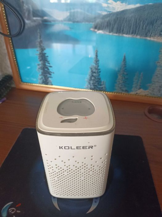 Беспроводной колонка Koleer