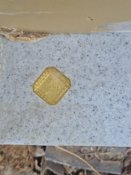 Раквина со столлешницей