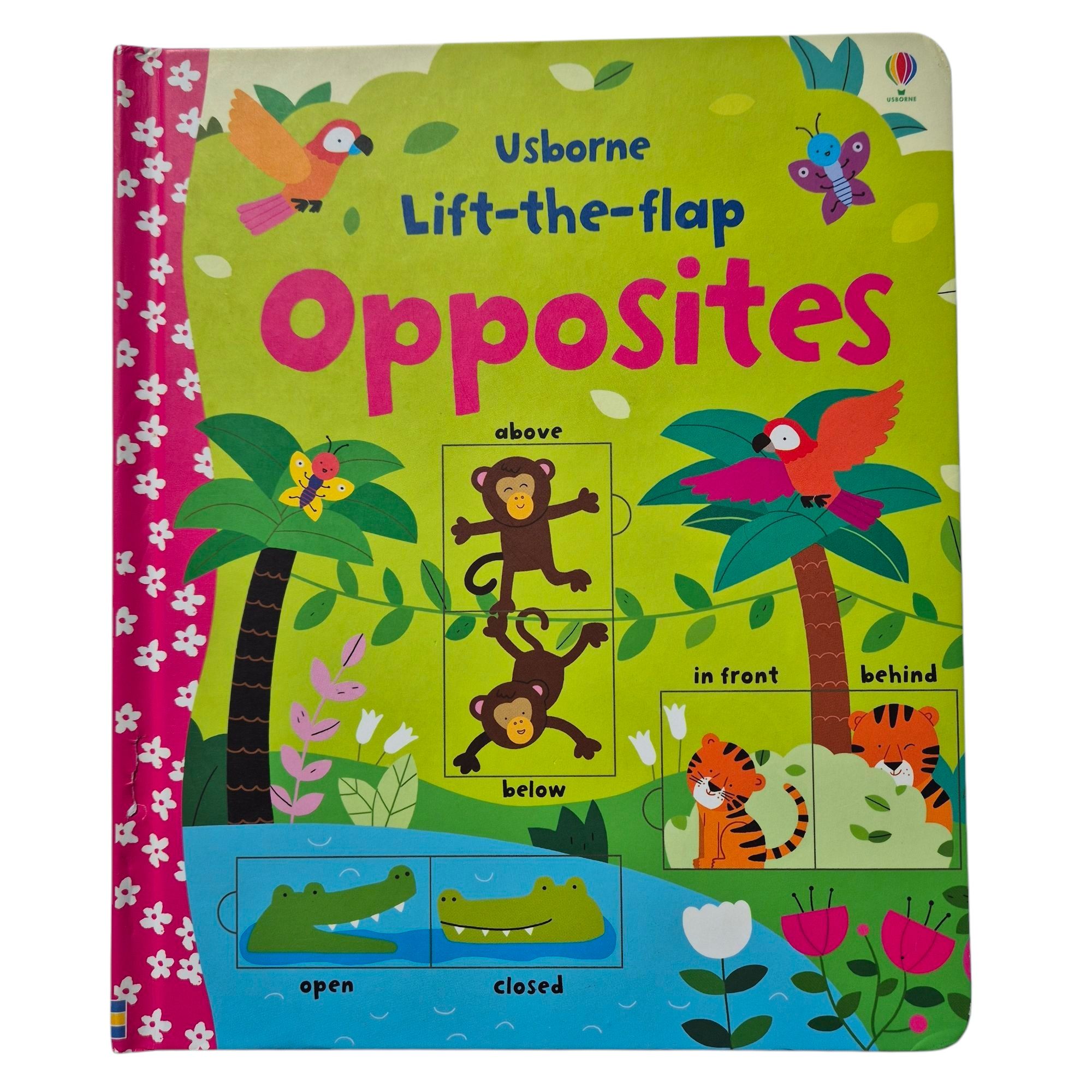 Lot 6 cărți educative tip „lift-the-flap” copii – Usborne, engleza