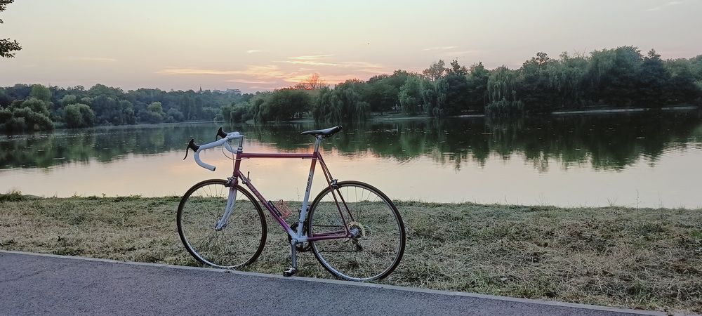 Road bike Giant Peloton size L ciclam colour turn heads