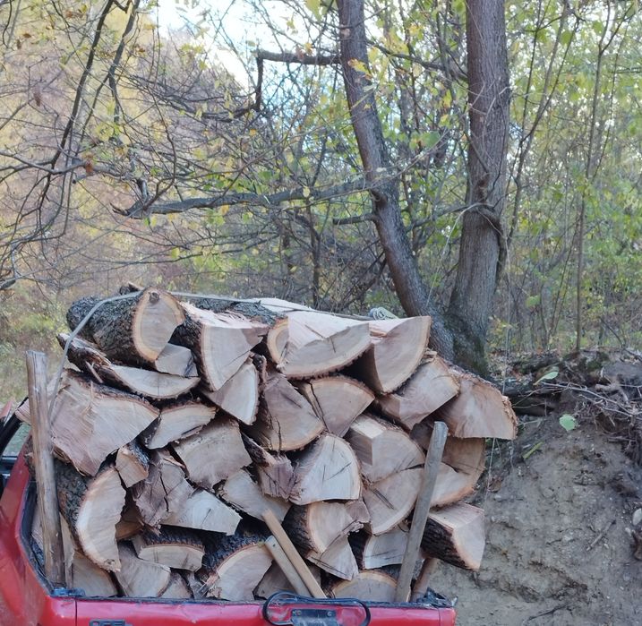Lemne esență tare pentru foc / fag, carpen, stejar