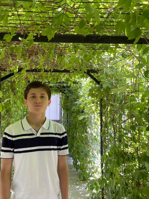 Buxgalterya xizmatlar