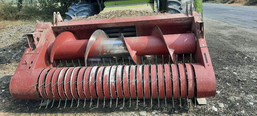 Padbor jatka sotiladi