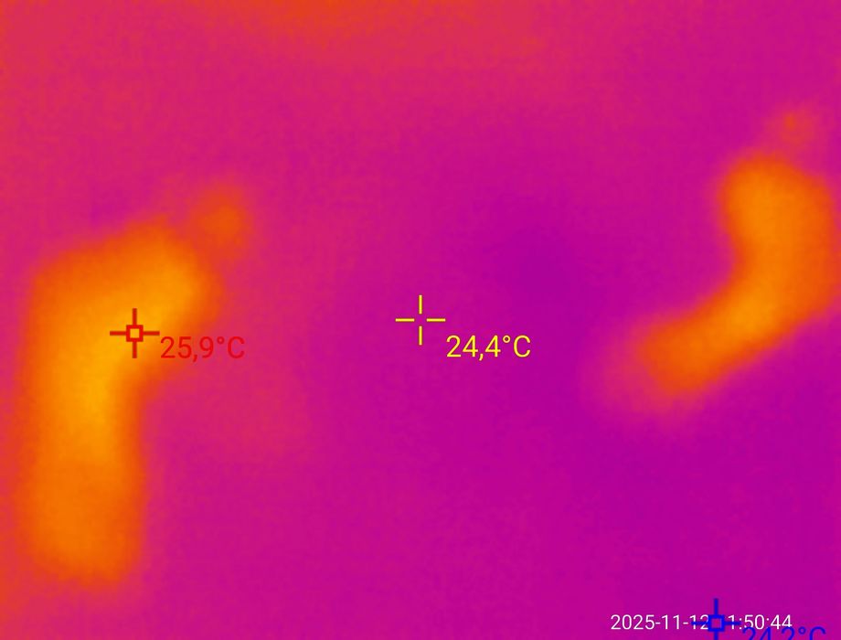 Услуги тепловизора
