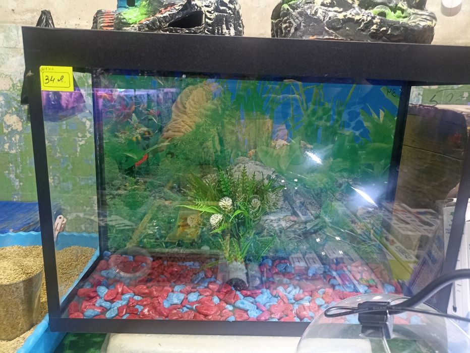 Аквариумы разных размеров