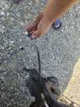 Conducta clima vw passat B7 2.0.tdi cff