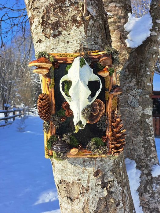 Tablouri Naturale / Cadou / Lichenii / Mușchi