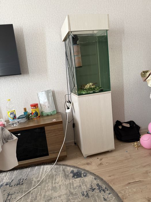 Akvarium baligi bilan kampilekt