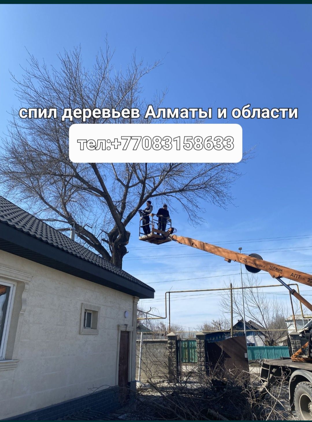 Спил деревьев Алматы и области
