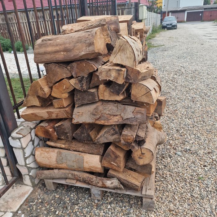 Vând lemne fag 5 ms