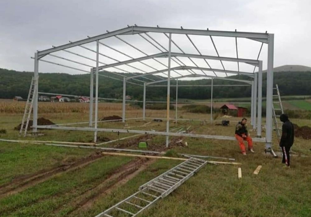 Vand hala metalica 6x10