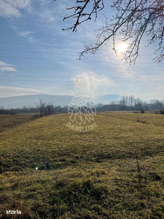 Teren 2754 mp-pretabil agricultura-Livezile