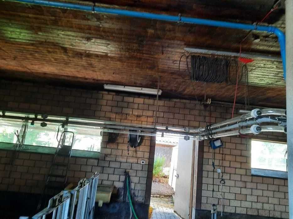 Sala de muls vaci