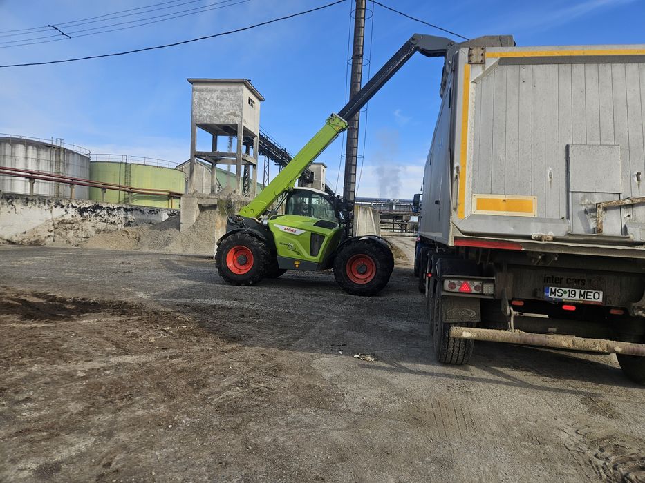 Taitei/borhot sfecla zahar