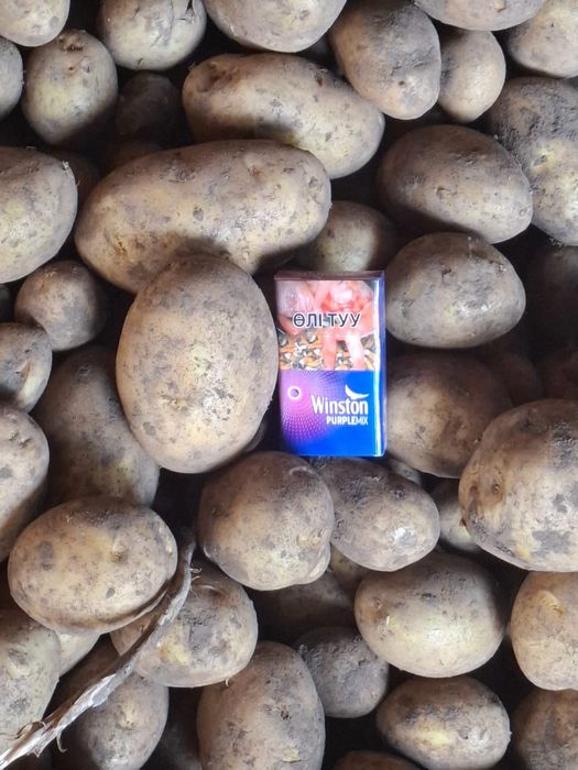 Продам картофель