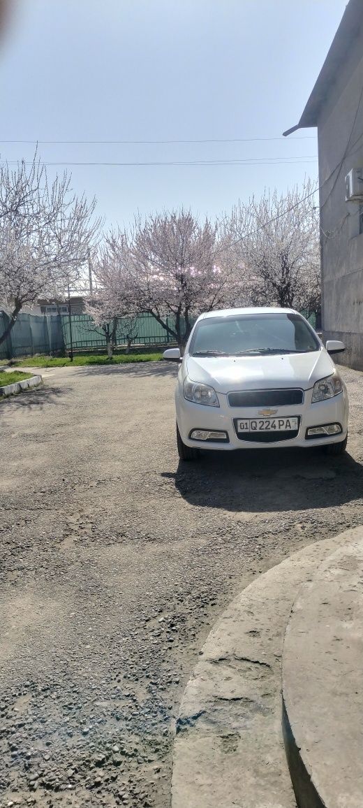 Поездка в горы Taxi                          Togga olipchiqip kelish