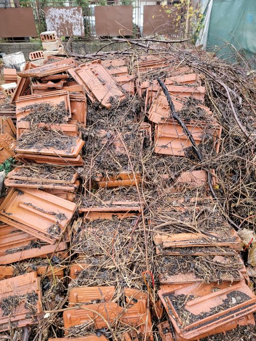 Цигли. Подарявам цигли. Около 1000 може и да са повече бройки.