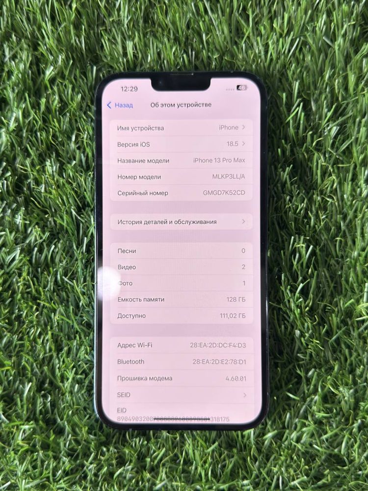 Iphone 13 pro pzds