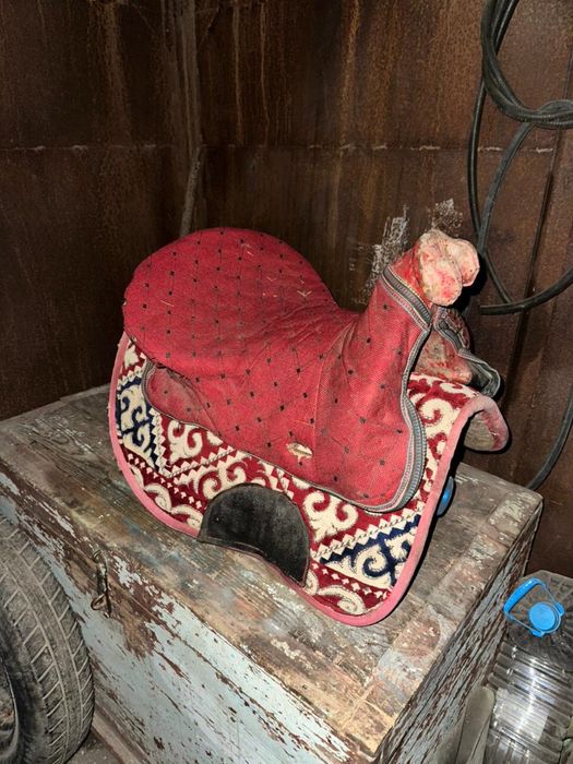 Ер тоқым сатылады 30 мың