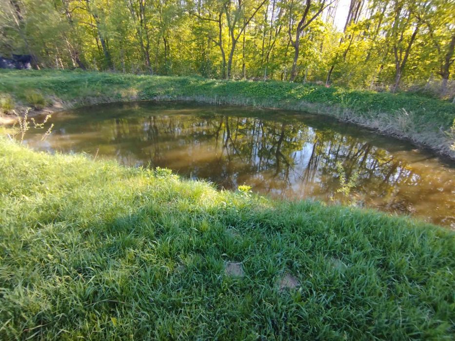 Casa si livadă de vanzare