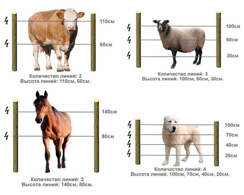 Электрический забор для животных электроизгороди для коров, лошадей
