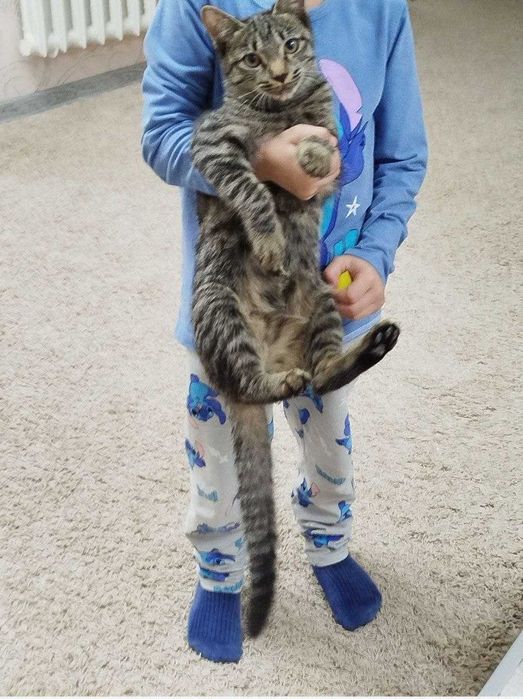 ogil mushukcha ismi mehribon