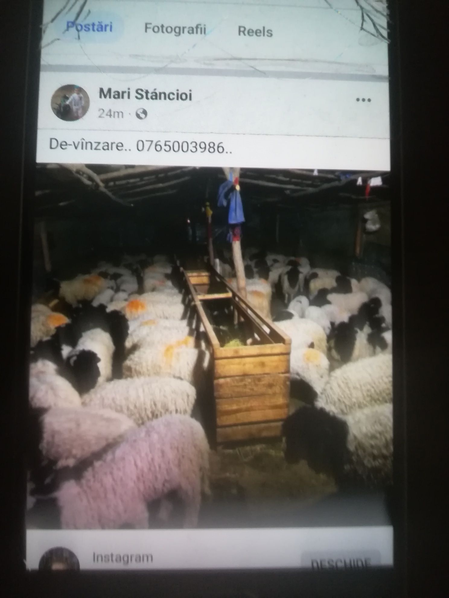 De_vânzare.. Vădăstrița