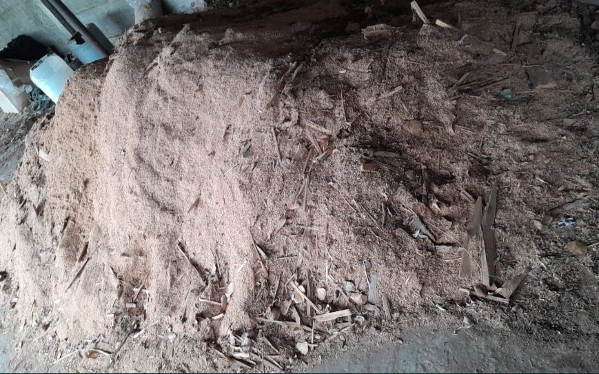 Rumeguș de fag uscat