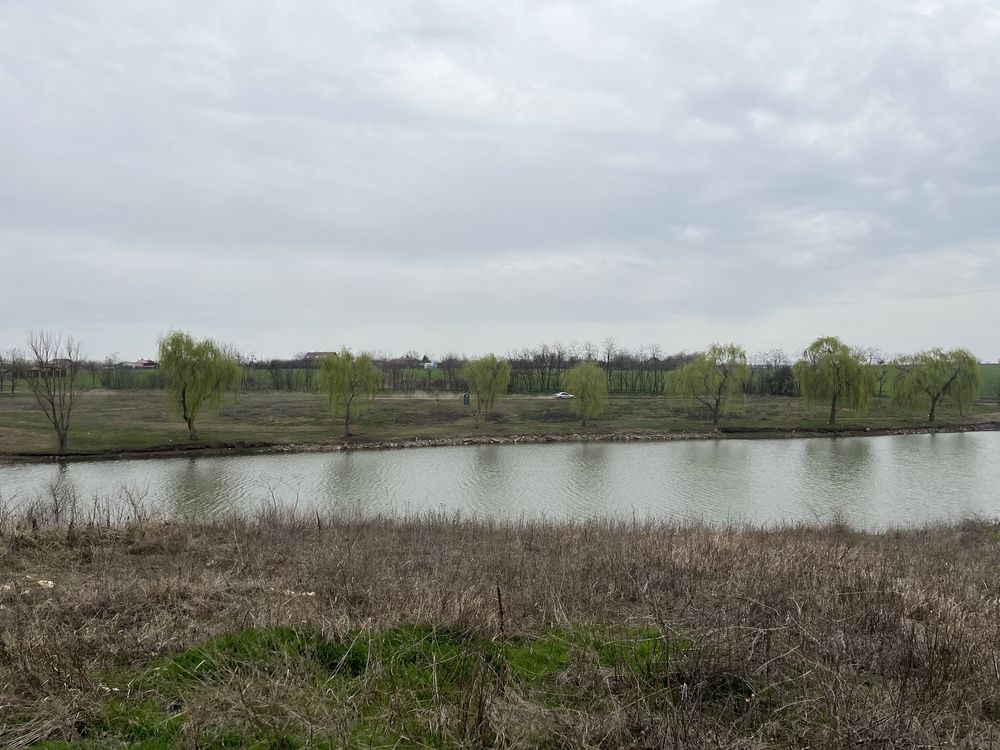 Teren intravilan Belciugatele, vedere la lac