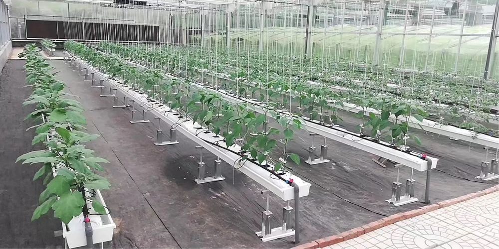 Гидропоника Ускунаси сотилады