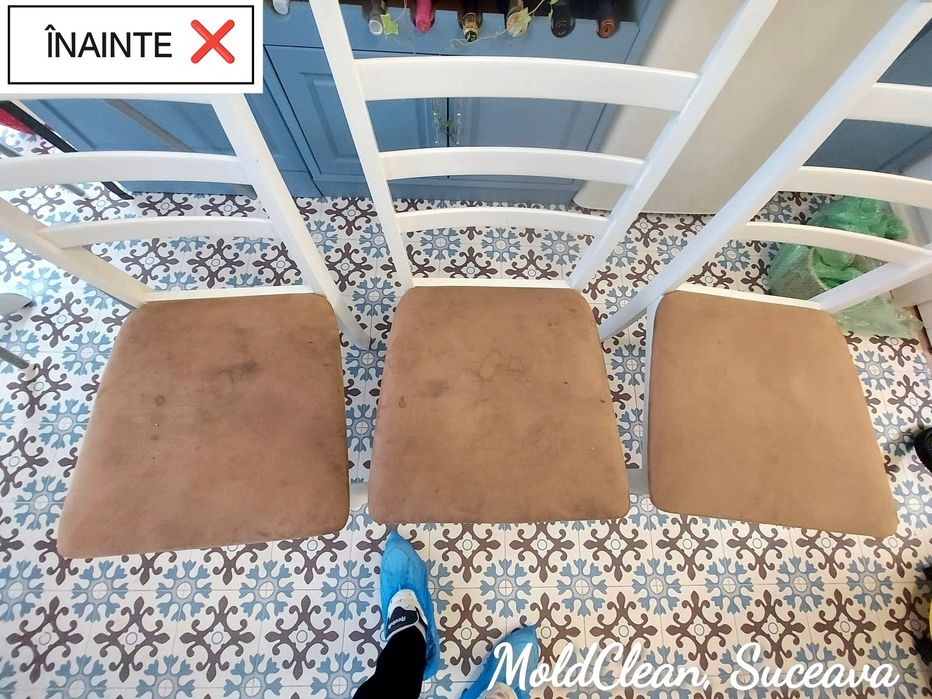 Servicii de Curățare/Igienizare -Canapele, scaune, fotolii, tapiterii