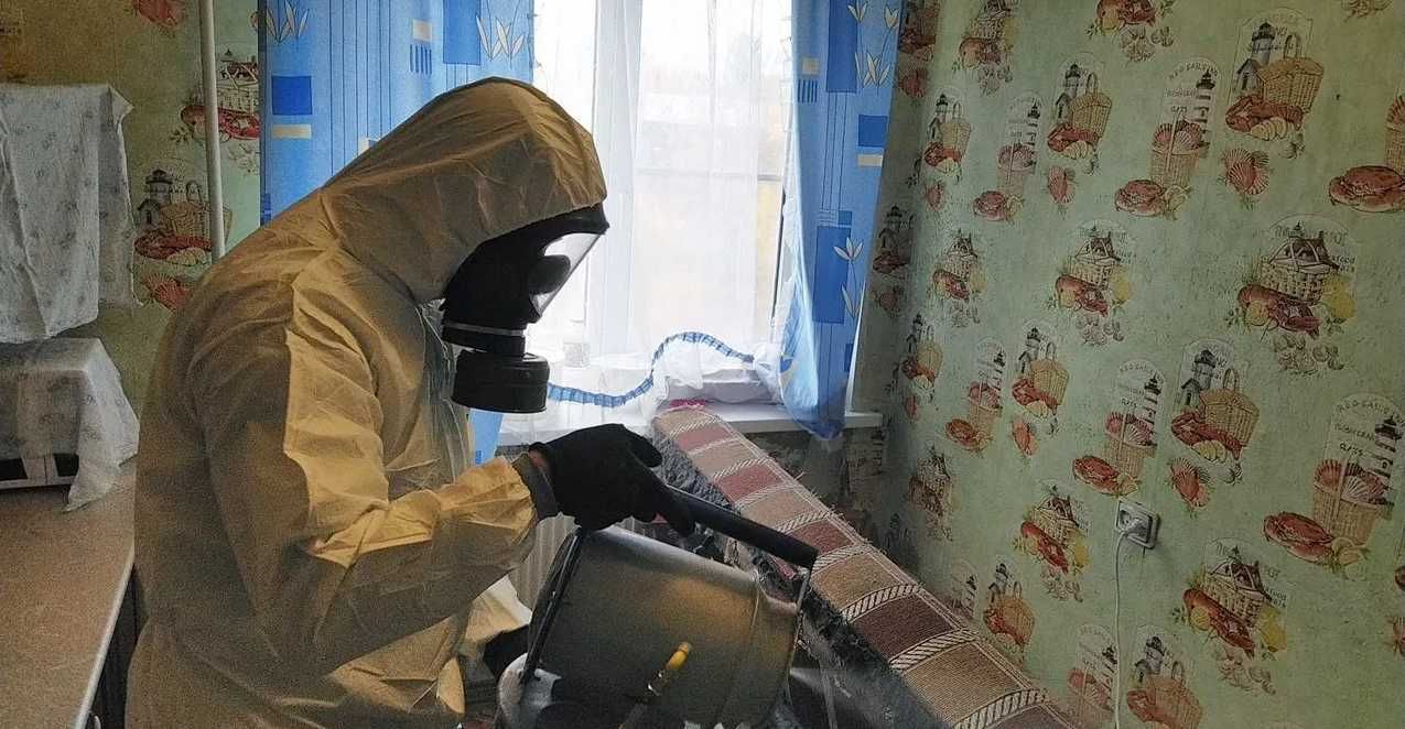 БЕСПЛАТНЫЙ туман * Dezinfeksia \ Дезинсекция \ Уничтожение клопов \ PD