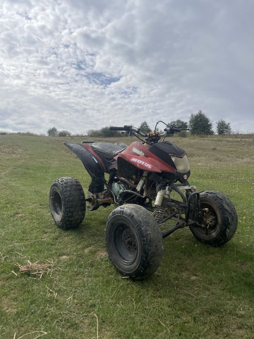 vand bashan 250cc