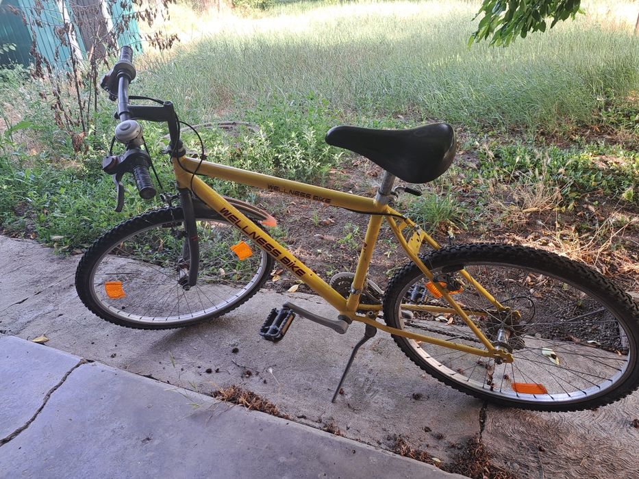 Bicicleta wellness bike