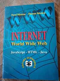 INTERNET WORLD WIDE WEB - Pavel Nastase/Floarea Nastase