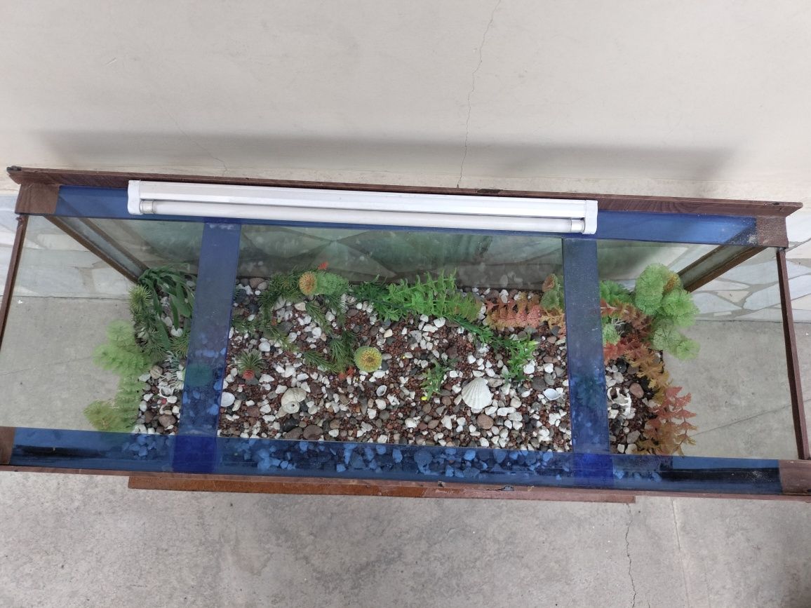 Akvarium sotiladi