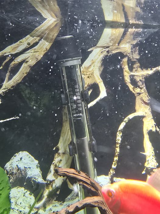 Aquael аквариум 112 литра